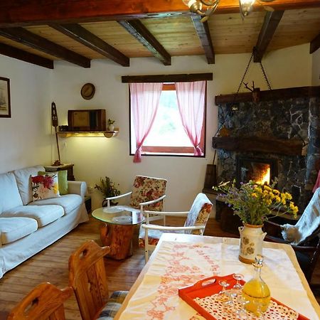 Plitvice Cottage Iggy Plitvička Jezera 外观 照片