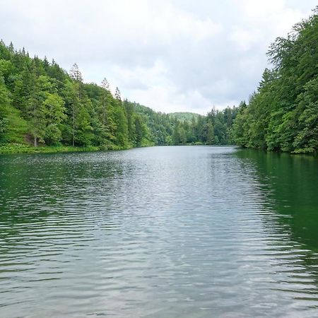 Plitvice Cottage Iggy Plitvička Jezera 外观 照片