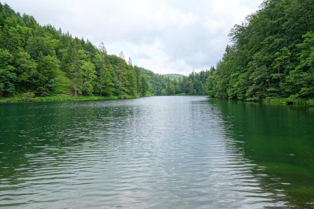 Plitvice Cottage Iggy Plitvička Jezera 外观 照片